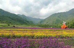 青海省海东市民和县七里花海景区使用启点景区电子票务系统